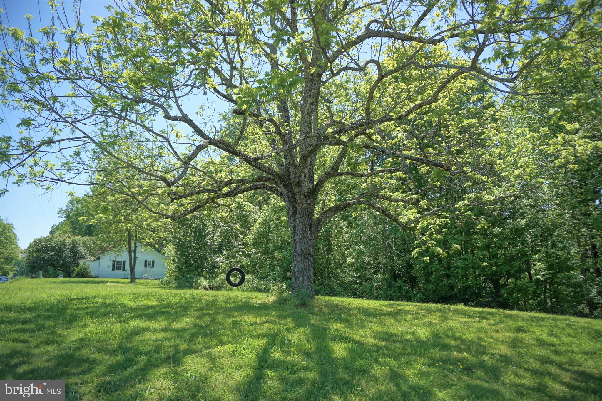 30104 Zoar Road Locust Grove, VA 22508 - Photo 24 of 24 Gallery Image 24