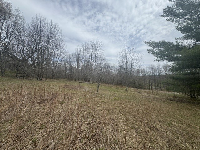 Lot 4 Shaver Hill Road Meridale, NY 13806 - Photo 10 of 44