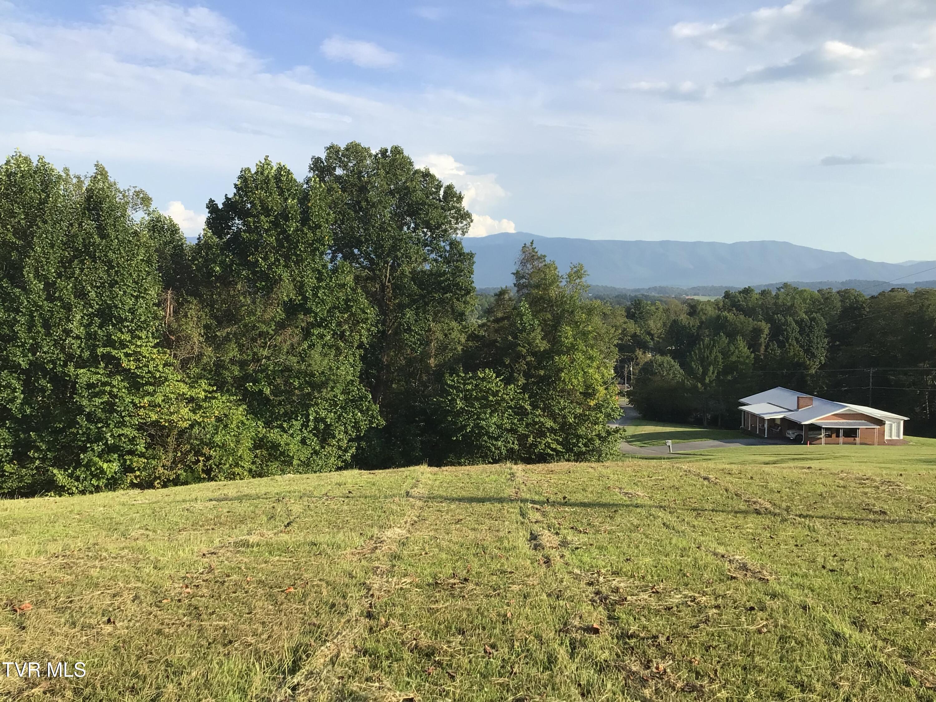 Tbd Ed Crum Way Greeneville, TN 37745 - Photo 6 of 11 1.5+/- acres Ed Crum Way