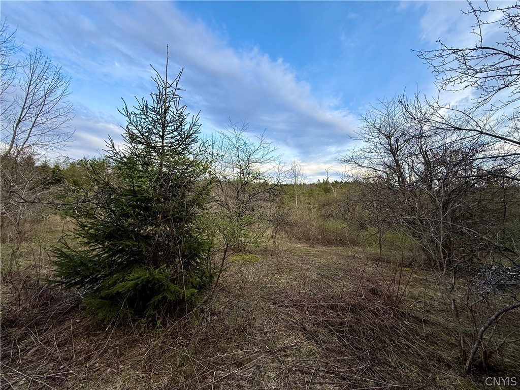 Springer Road DeRuyter, NY 13052 - Photo 12 of 13 Gallery Image 12