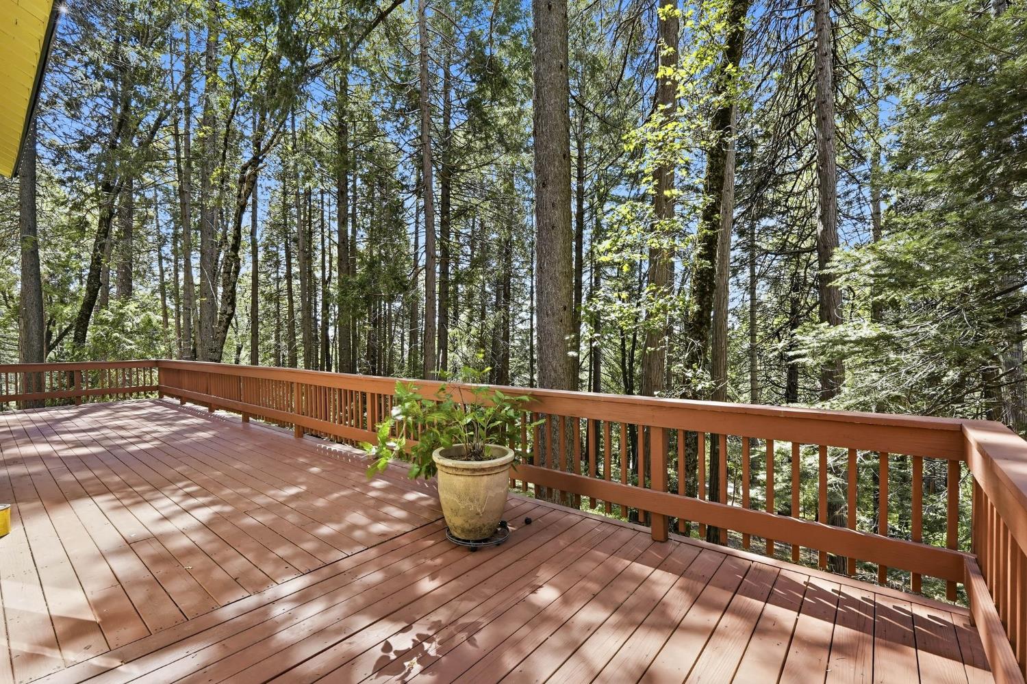 11448 Snowline Road Nevada City, CA 95959 - Photo 33 of 54