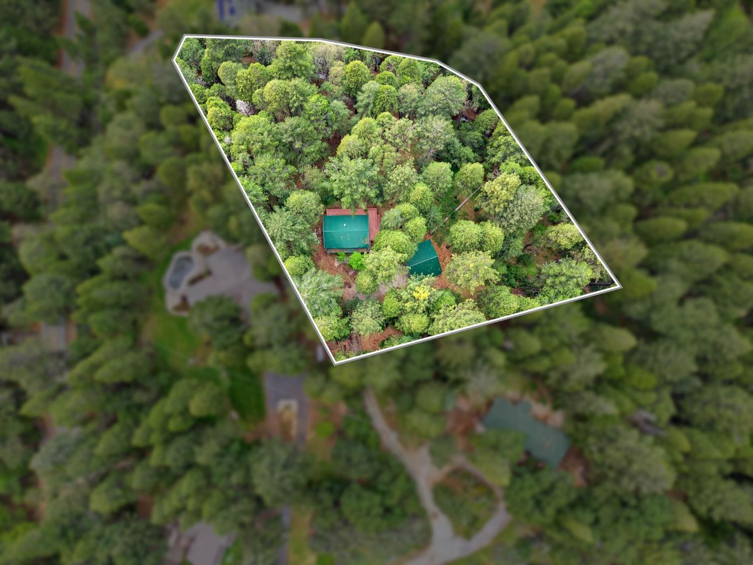 11448 Snowline Road Nevada City, CA 95959 - Photo 48 of 54