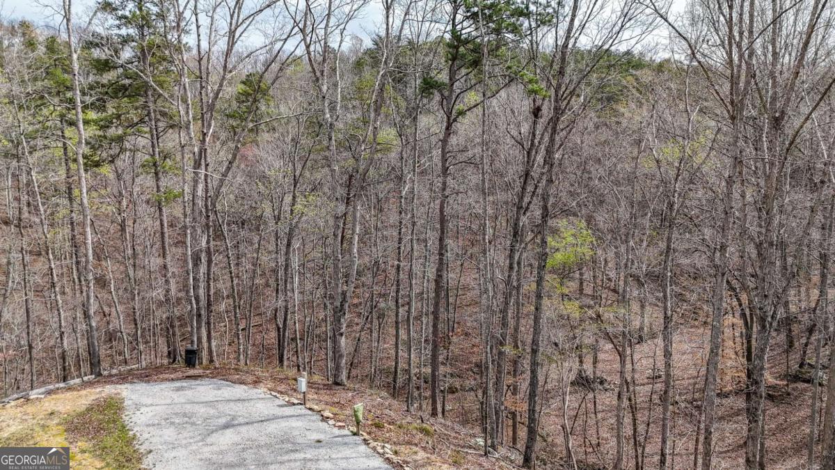 0 Felton Rockmart Road Buchanan, GA 30113 - Photo 15 of 47