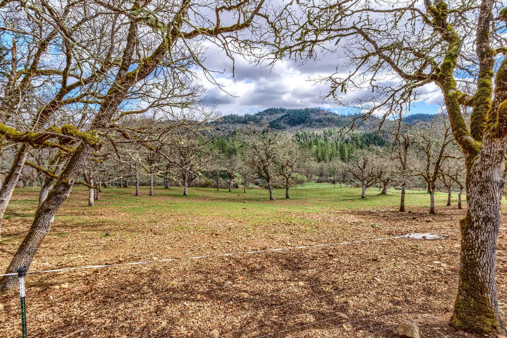 1125 Ragsdale Road Trail, OR 97541 - Photo 48 of 49 RR(17)