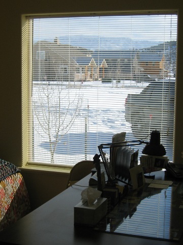 407 Kismet Street Ridgway, CO 81432 - Photo 4 of 6 a view of a workspace with a window