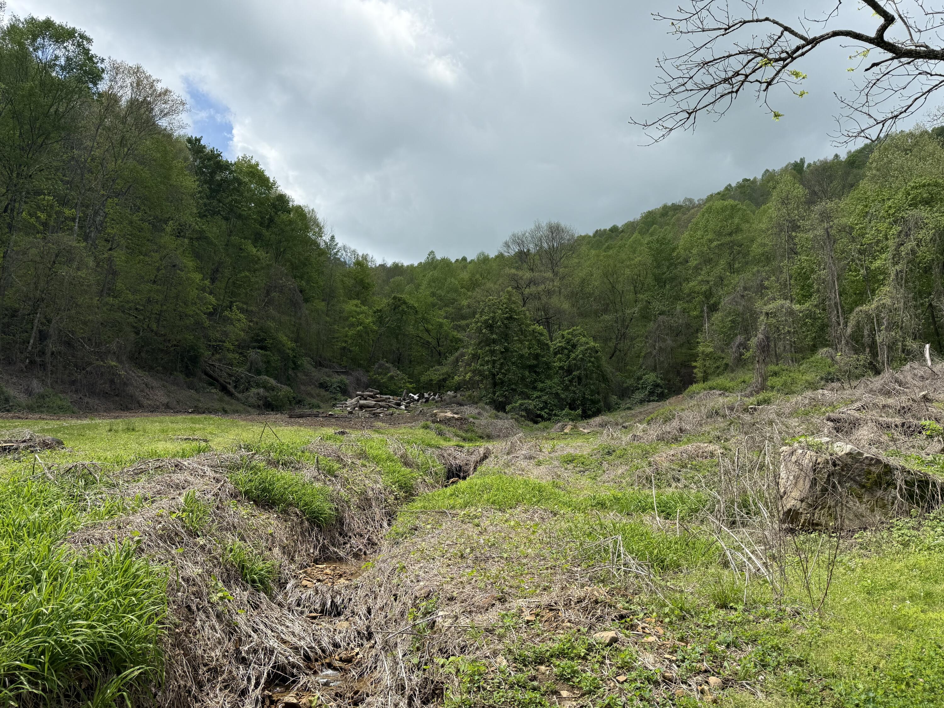 460 Bailey Branch Road Walker, KY 40997 - Photo 1 of 6 IMG_2954