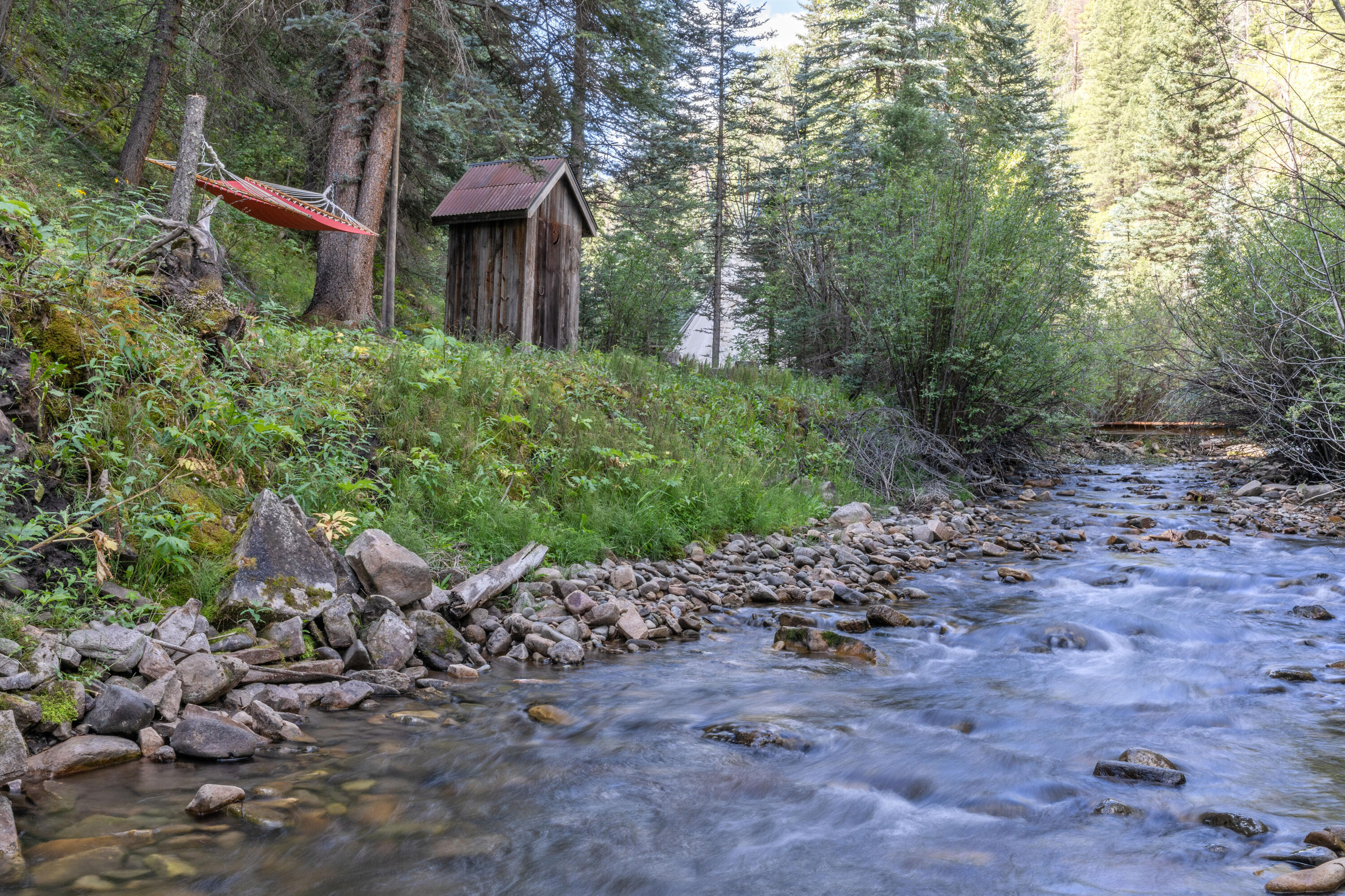 4600 Fall Creek Road Placerville, CO 81430 - Photo 21 of 36 C12A4214