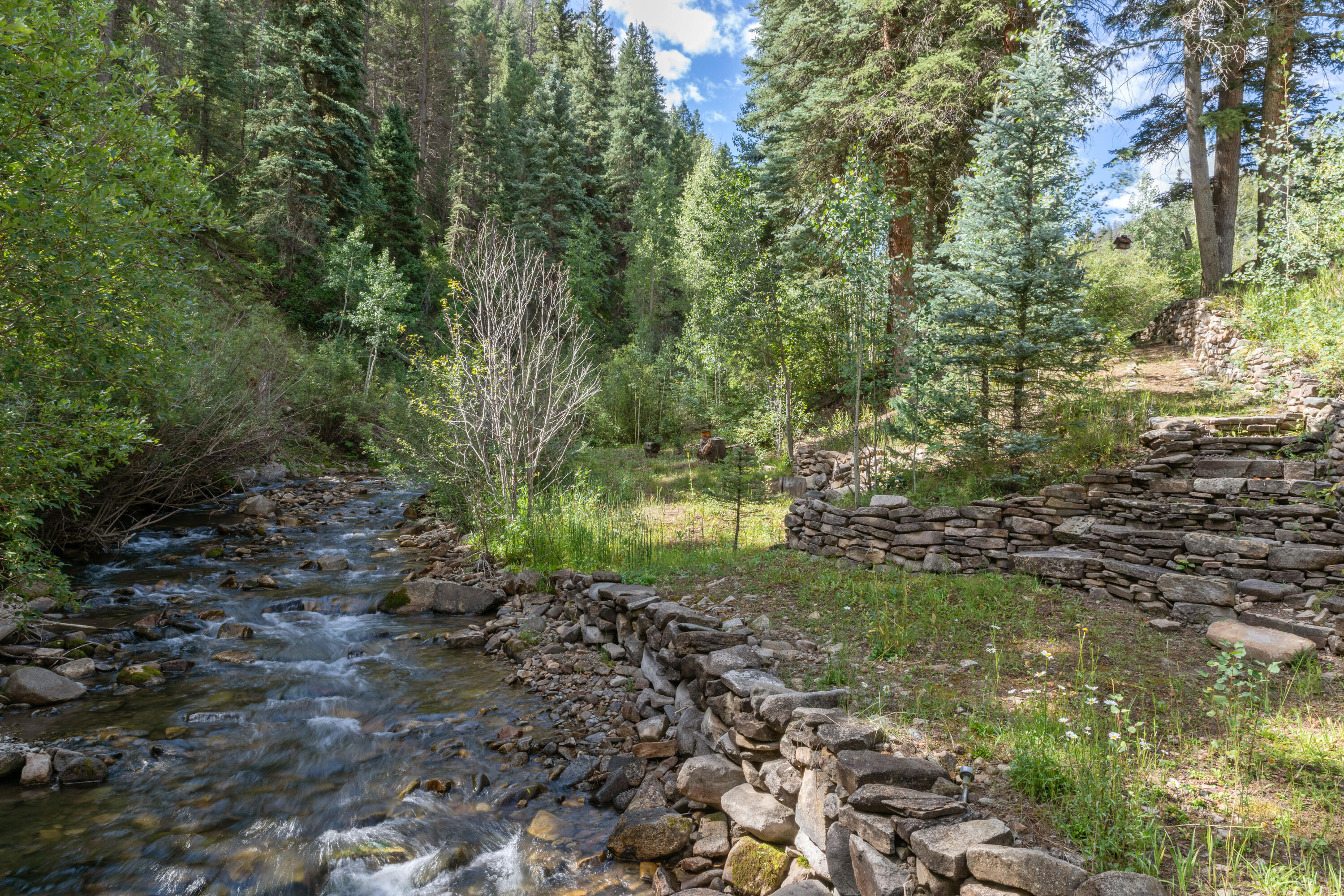 4600 Fall Creek Road Placerville, CO 81430 - Photo 25 of 36 C12A4224