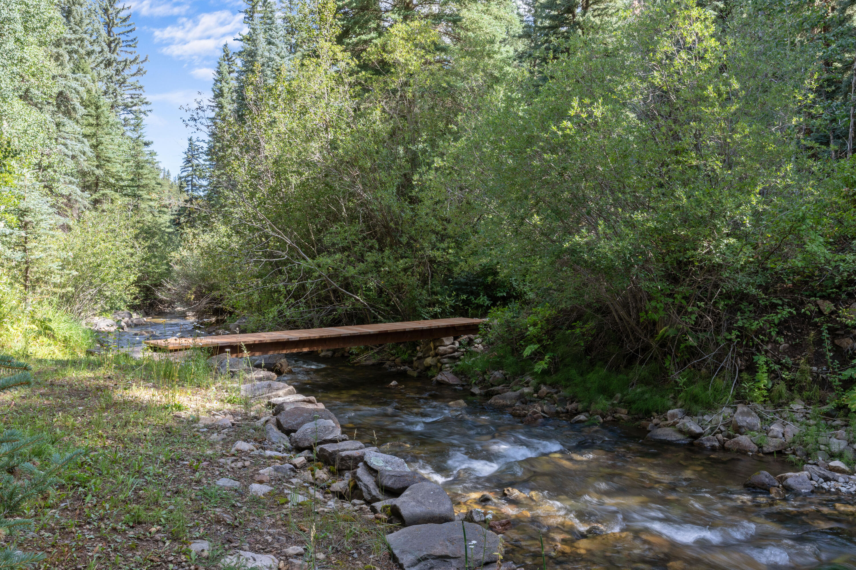 4600 Fall Creek Road Placerville, CO 81430 - Photo 26 of 36 C12A4208
