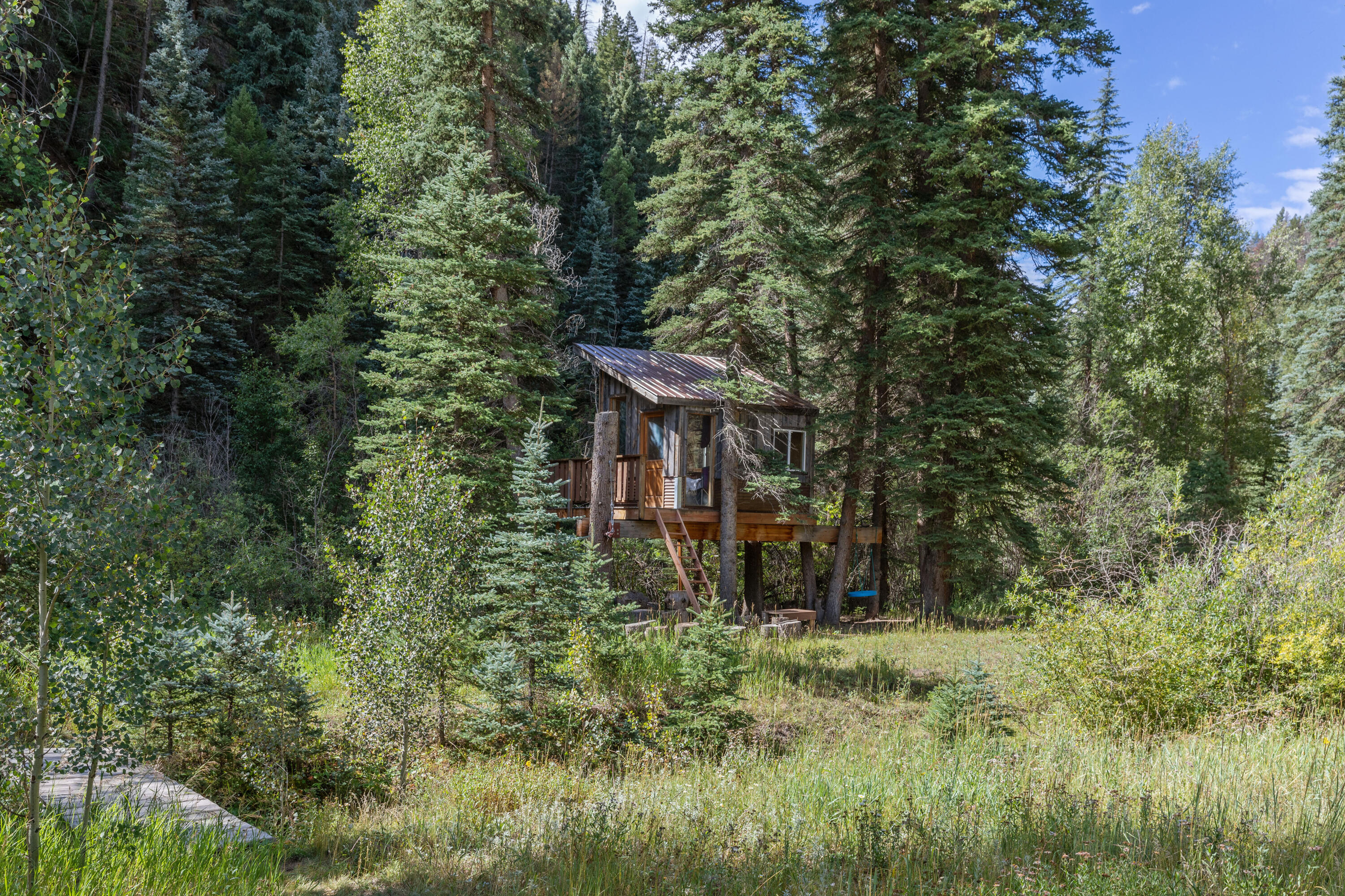 4600 Fall Creek Road Placerville, CO 81430 - Photo 29 of 36 C12A4212
