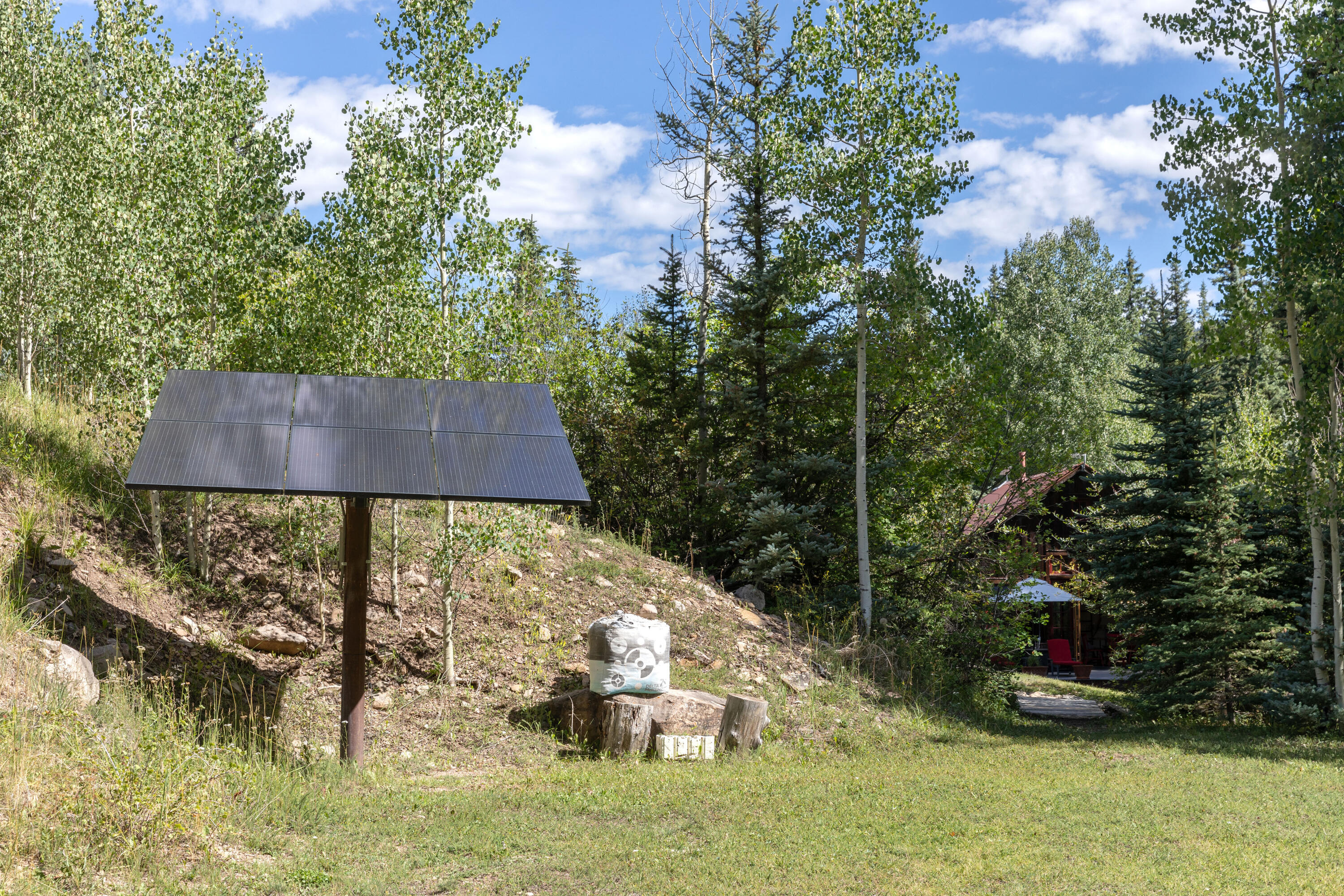 4600 Fall Creek Road Placerville, CO 81430 - Photo 31 of 36 C12A4211