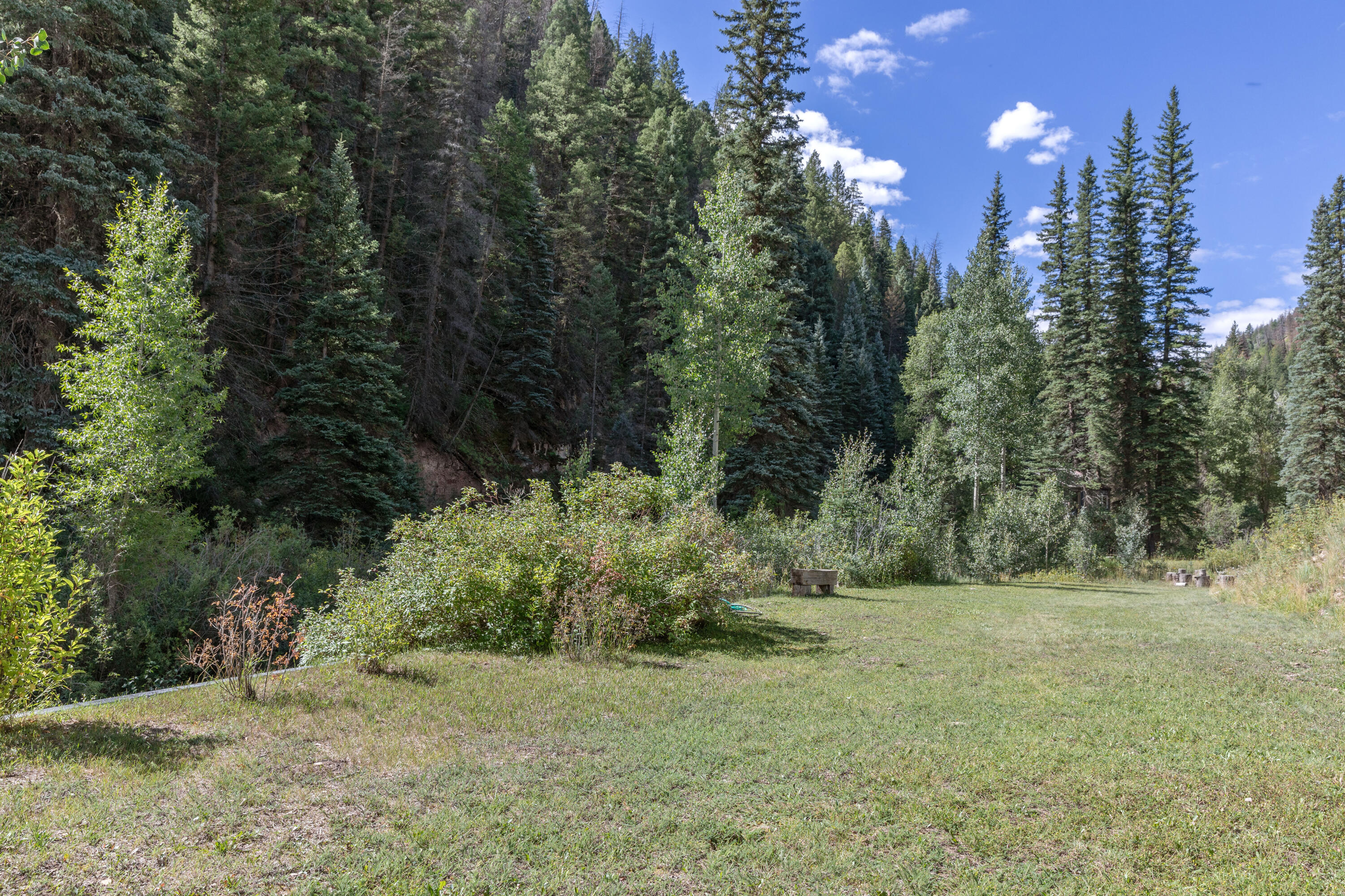 4600 Fall Creek Road Placerville, CO 81430 - Photo 32 of 36 C12A4210