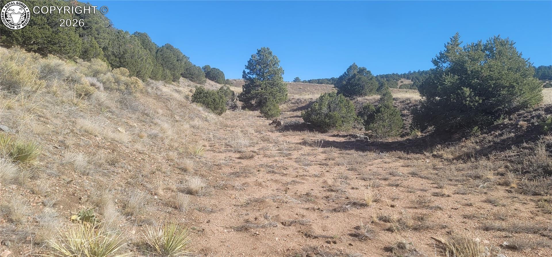 267 Crow Road Westcliffe, CO 81252 - Photo 15 of 23 Gallery Image 15