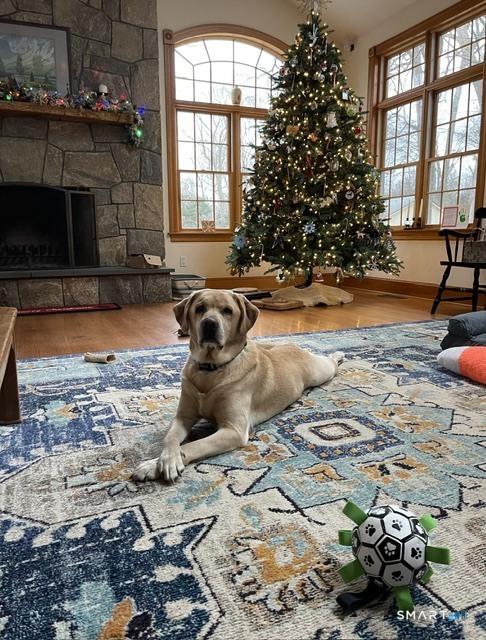 21 Geneva Road Norwalk, CT 06850 - Photo 34 of 36