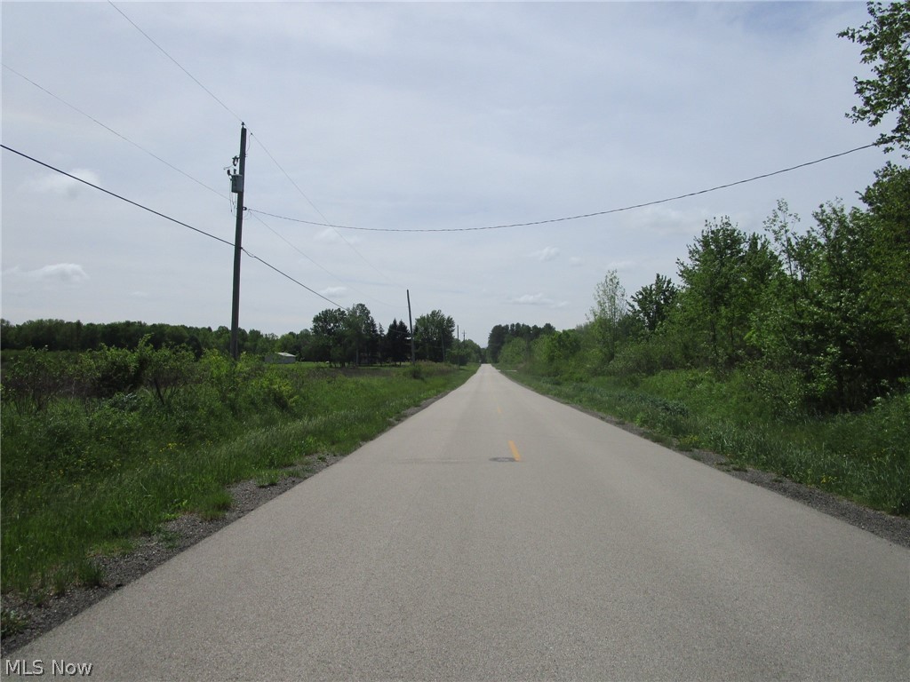 Vl Doyle Road Jefferson, OH 44047 - Photo 2 of 42