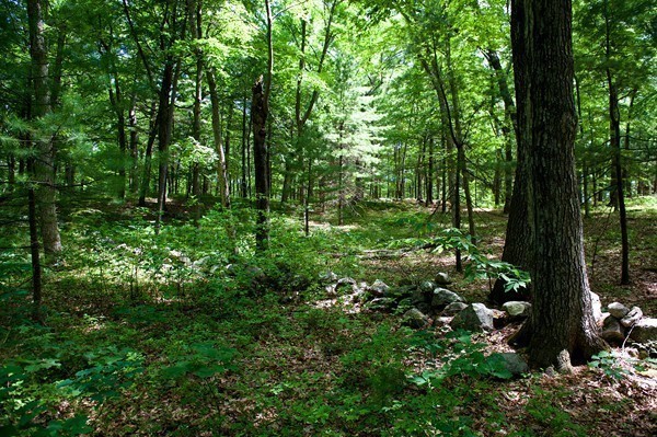 35 Huckleberry Hill Road Lincoln, MA 01773 - Photo 18 of 20 Gallery Image 18