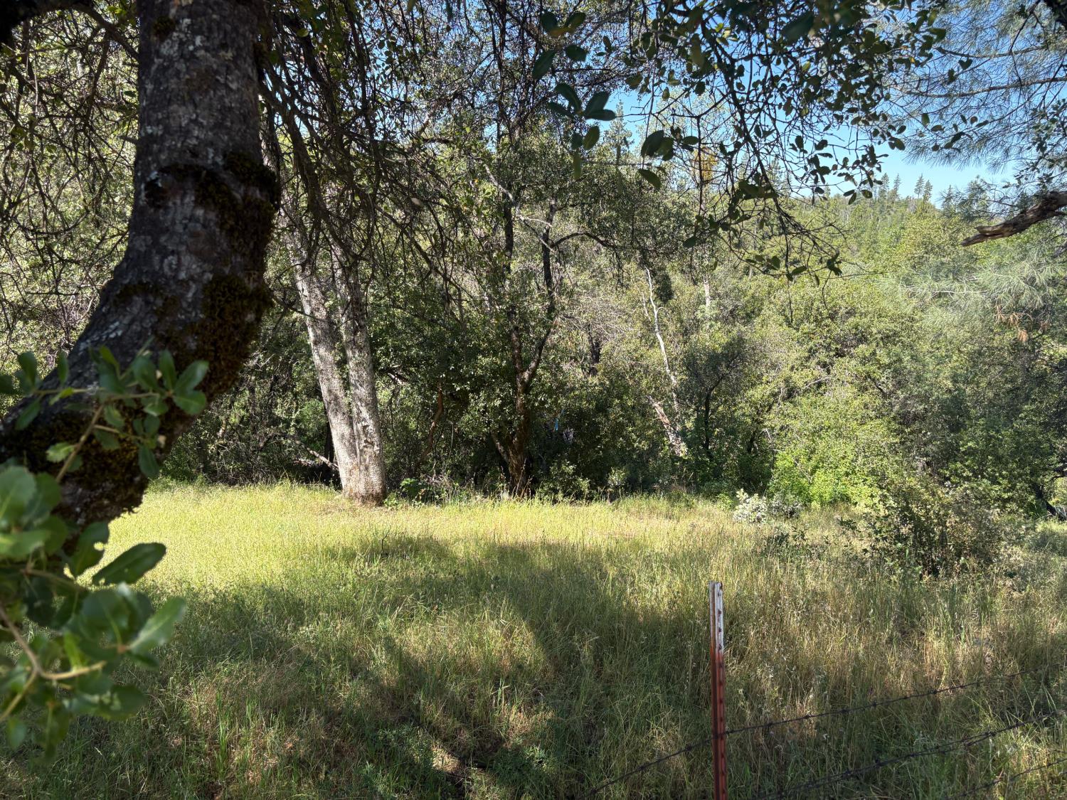 0 Sheep Ranch Road Mountain Ranch, CA 95246 - Photo 9 of 17