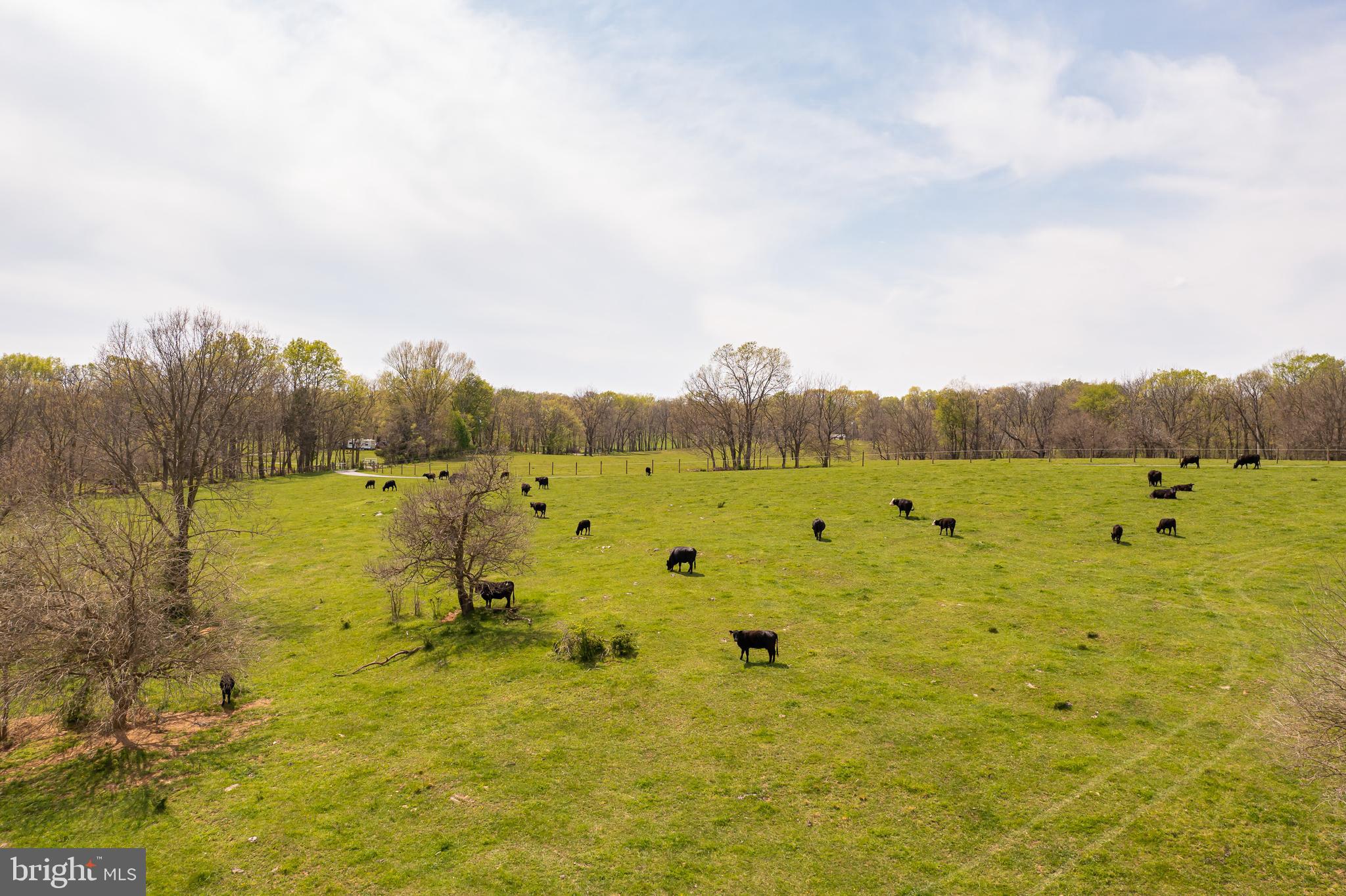 565 Vance Road Shepherdstown, WV 25443 - Photo 2 of 22 Gallery Image 2