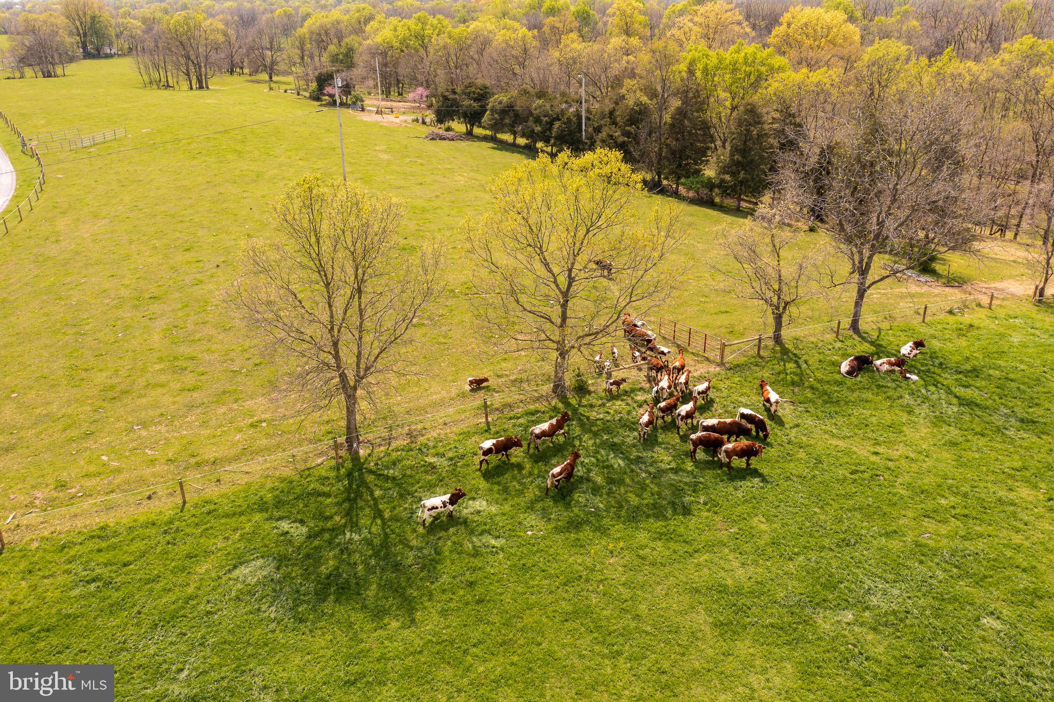 565 Vance Road Shepherdstown, WV 25443 - Photo 3 of 22 Gallery Image 3