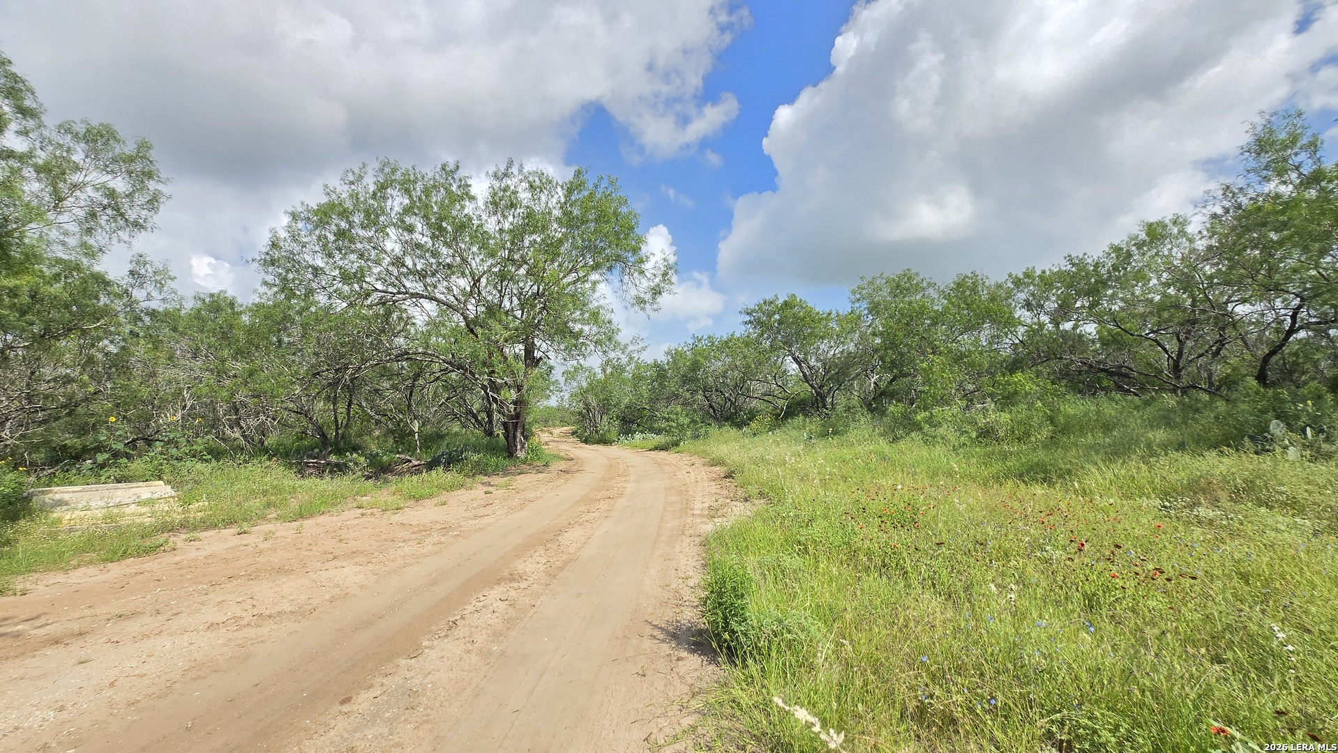 289 Zigmond Road Poteet, TX 78065 - Photo 35 of 37