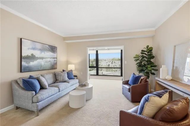 a living room with furniture and a potted plant