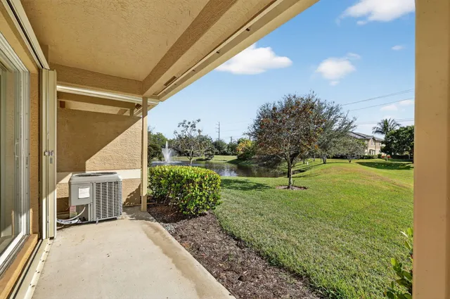a view of a park with large trees