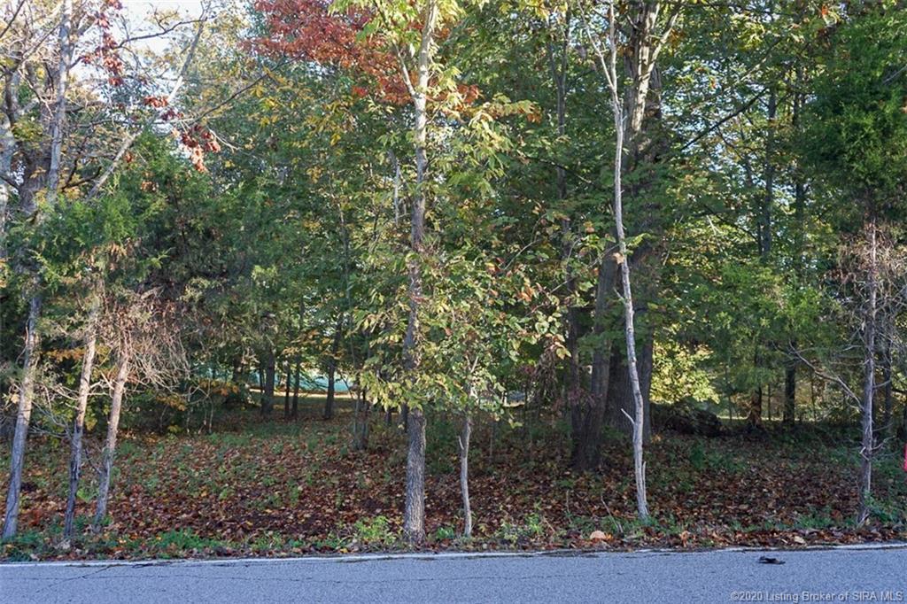 3 Cooks Mill Road Georgetown, IN 47122 - Photo 2 of 9