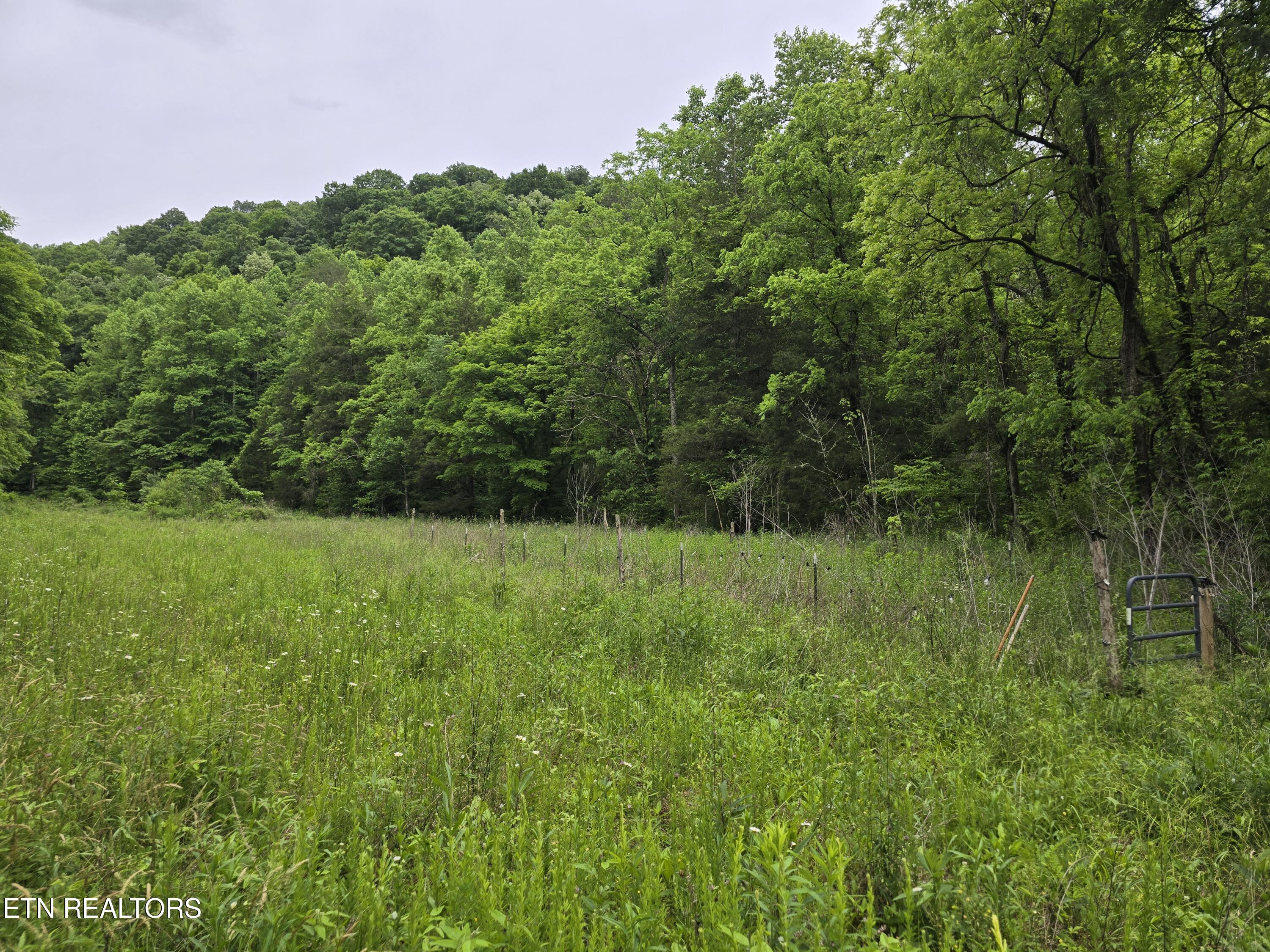 2615 Stoney Fork Road Sneedville, TN 37869 - Photo 46 of 60 20260525_193055