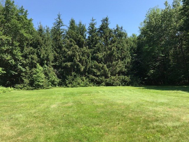 97 Old Manchester Road Candia, NH 03034 - Photo 5 of 17