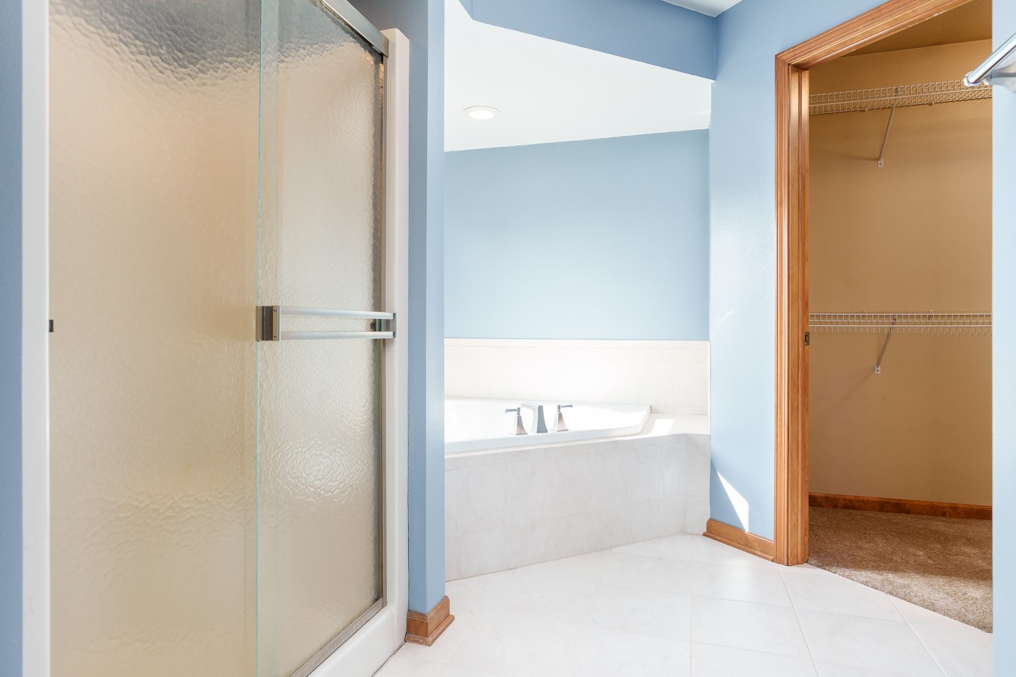12859 Prairie Meadow Way Belvidere, IL 61008 - Photo 54 of 67 a bathroom with a bathtub and a shower