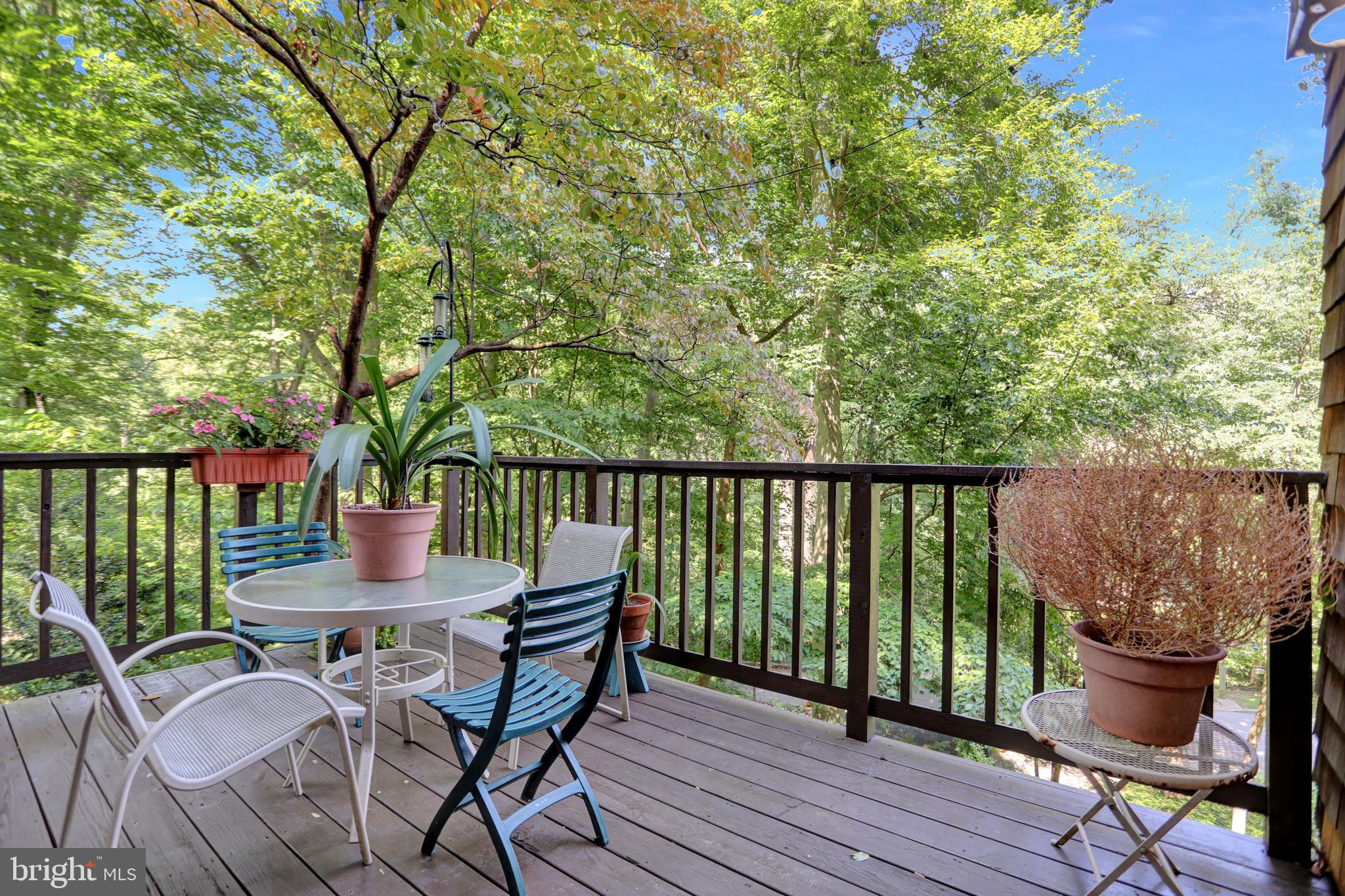 204 Longwood Road Baltimore, MD 21210 - Photo 28 of 62 Gallery Image 28