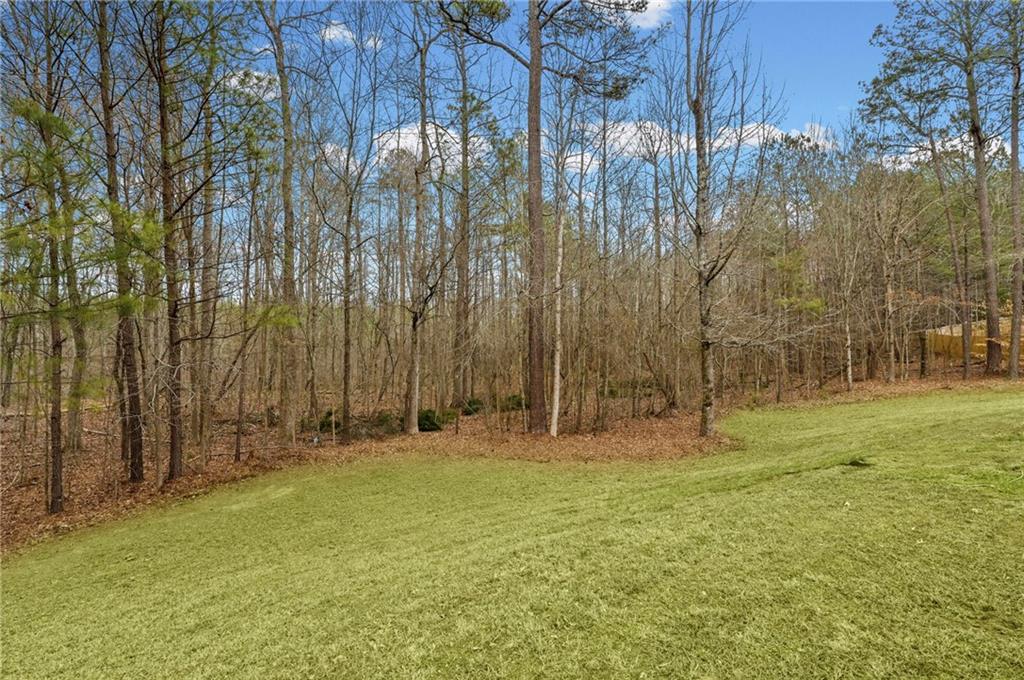 70 Clover Valley Drive Covington, GA 30016 - Photo 45 of 50