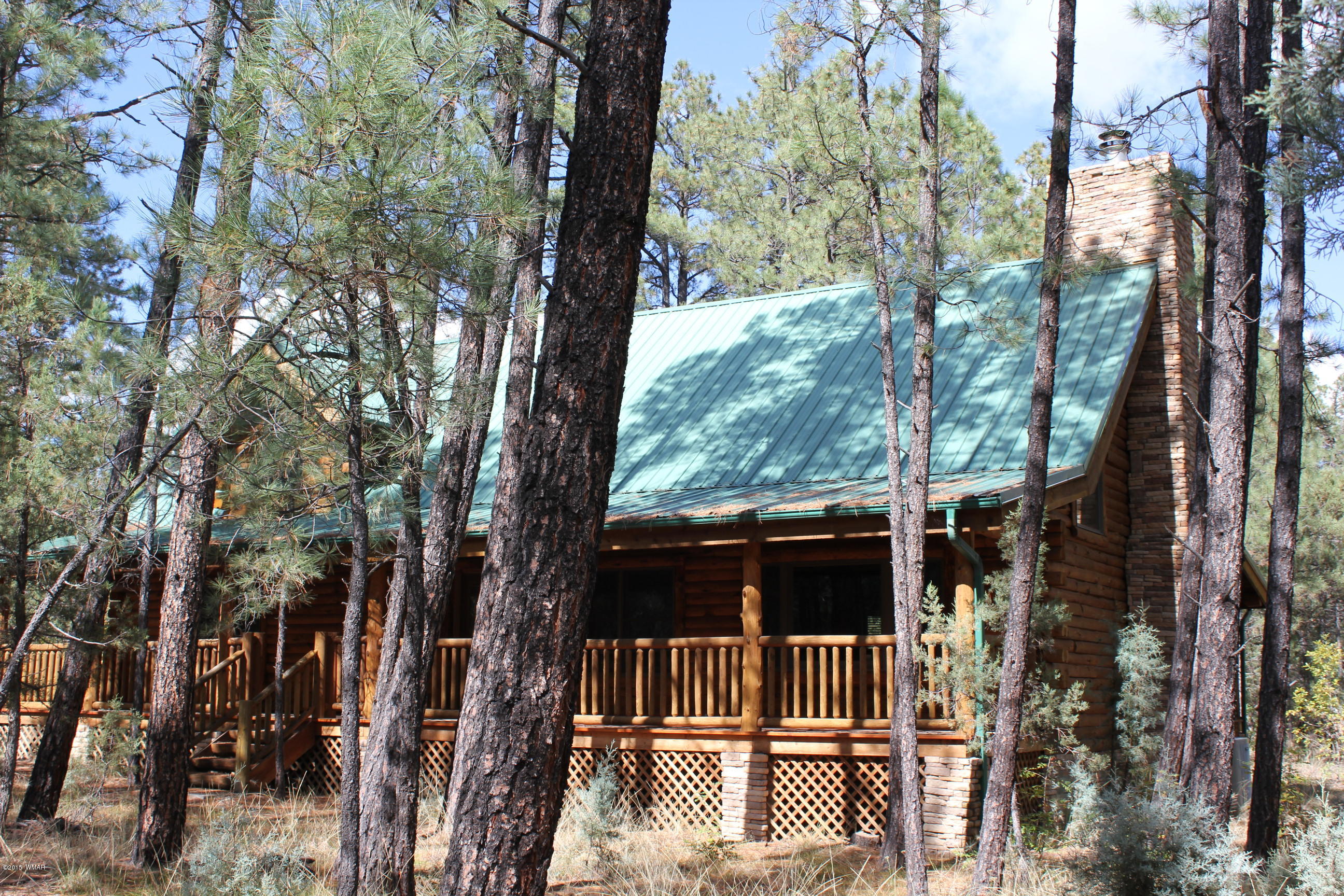 916 Rim Spur Circle Lakeside, AZ 85929 - Photo 3 of 34