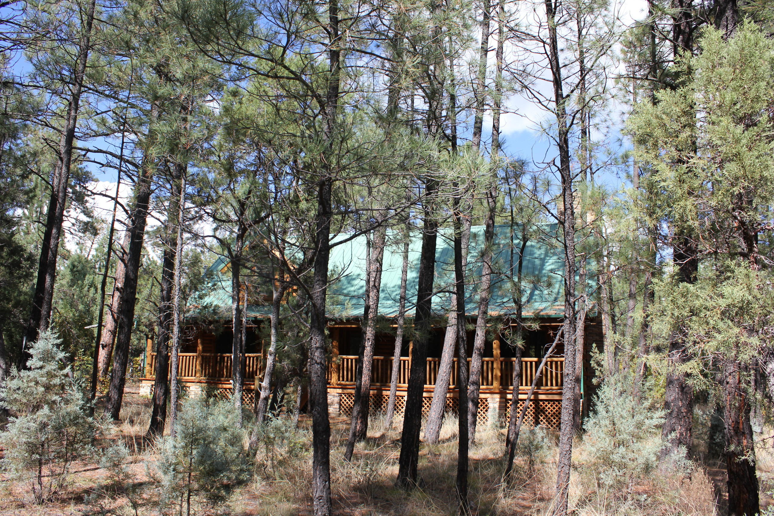 916 Rim Spur Circle Lakeside, AZ 85929 - Photo 31 of 34