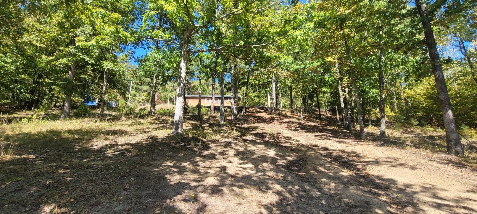 245 Crisp Road Cross Hill, SC 29332 - Photo 5 of 12 Gallery Image 5