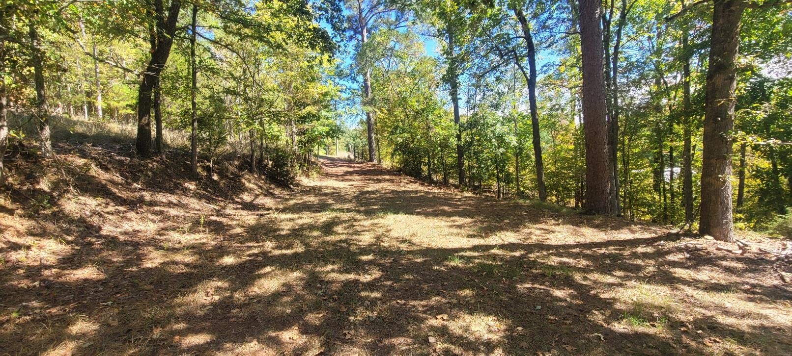 245 Crisp Road Cross Hill, SC 29332 - Photo 8 of 12 Gallery Image 8