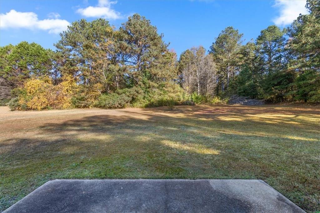 472 Oak Hill Road Covington, GA 30016 - Photo 25 of 41 a view of a yard with a tree