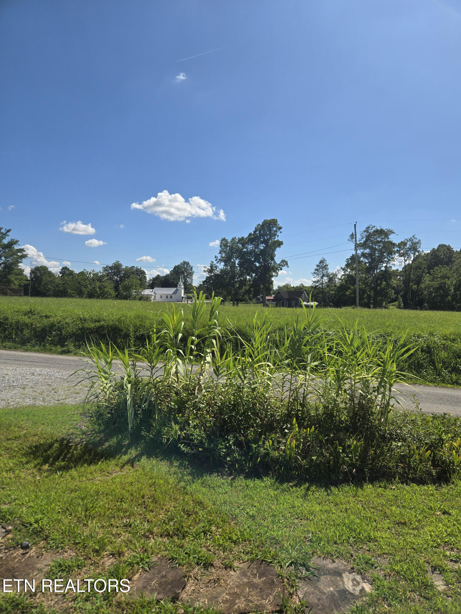 115 Cherry Street Deer Lodge, TN 37726 - Photo 14 of 18 14