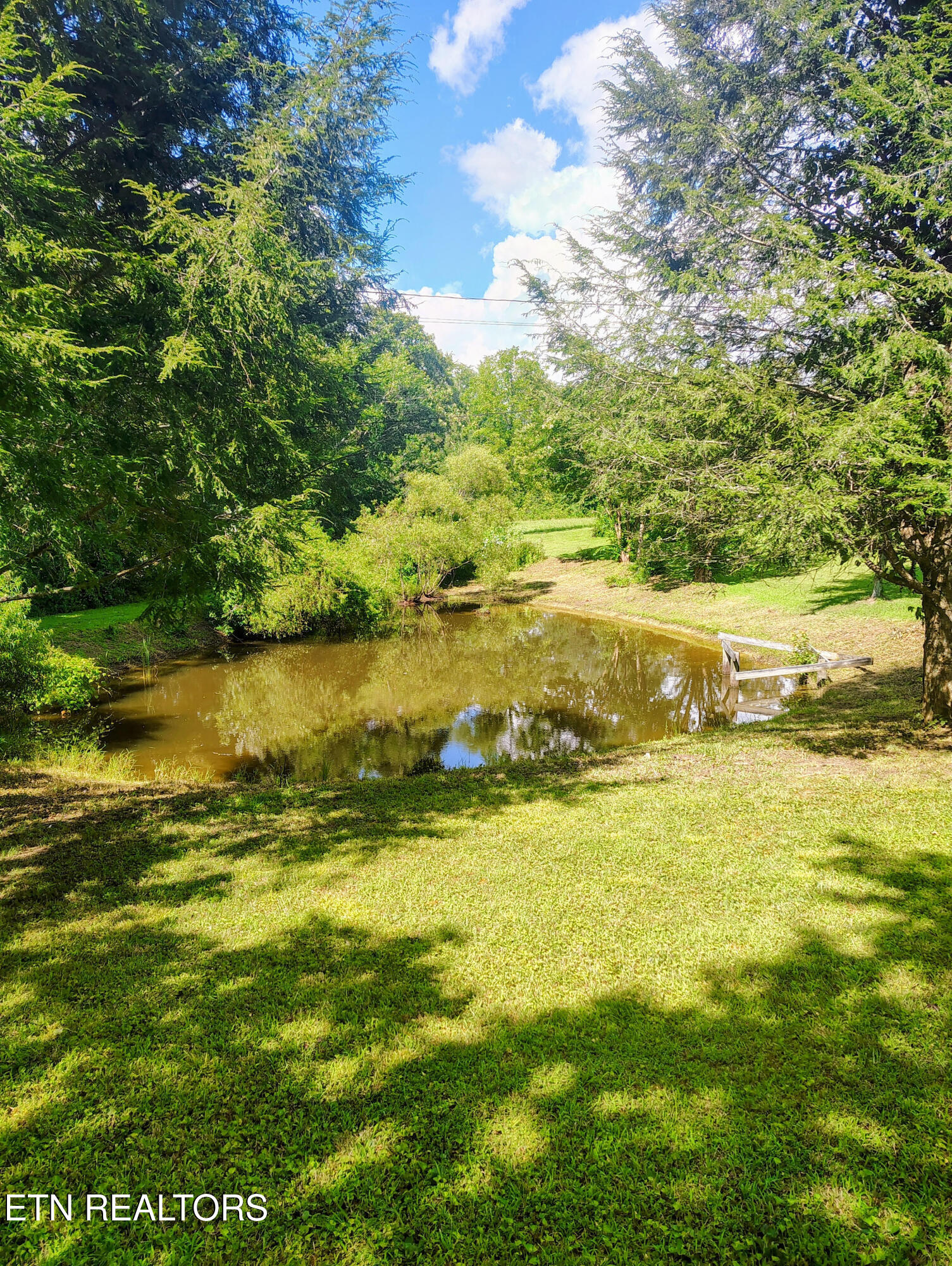 115 Cherry Street Deer Lodge, TN 37726 - Photo 15 of 18 15