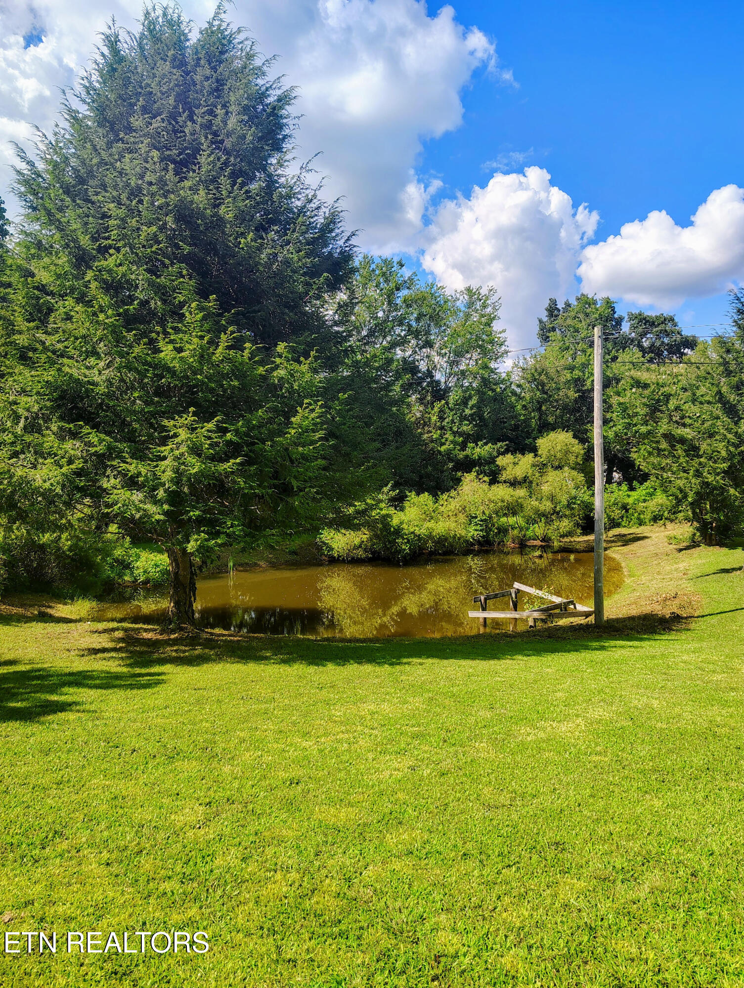 115 Cherry Street Deer Lodge, TN 37726 - Photo 16 of 18 16