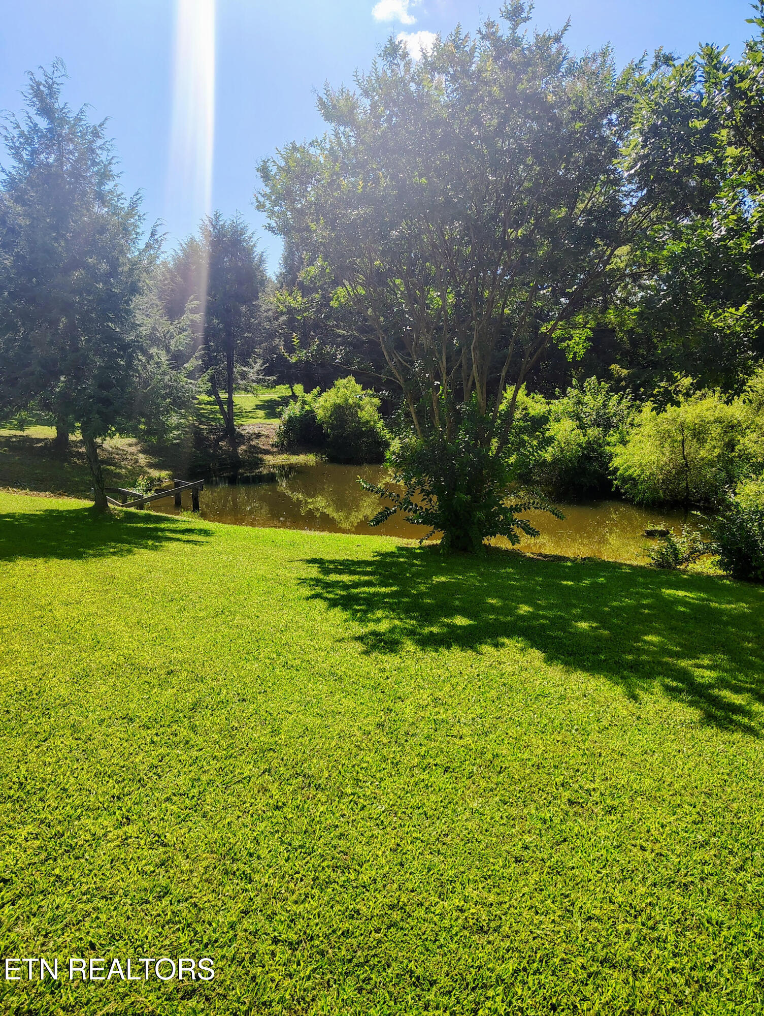 115 Cherry Street Deer Lodge, TN 37726 - Photo 17 of 18 17