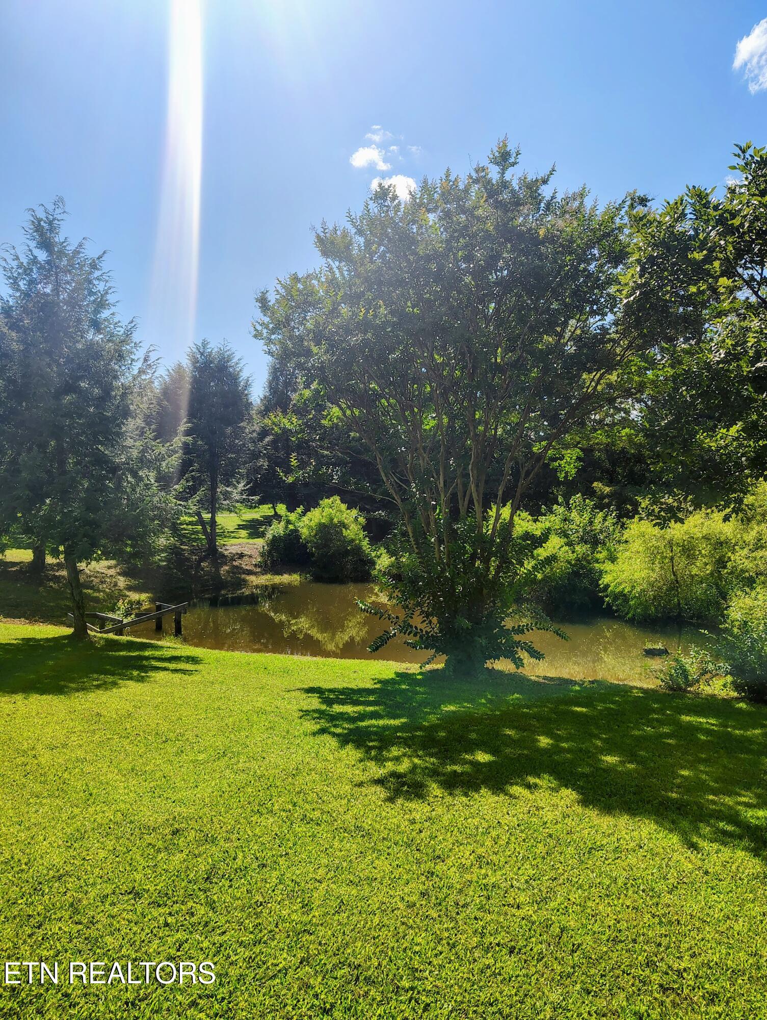 115 Cherry Street Deer Lodge, TN 37726 - Photo 18 of 18 62906506-66b6-4820-bc12-f248969ee877~1