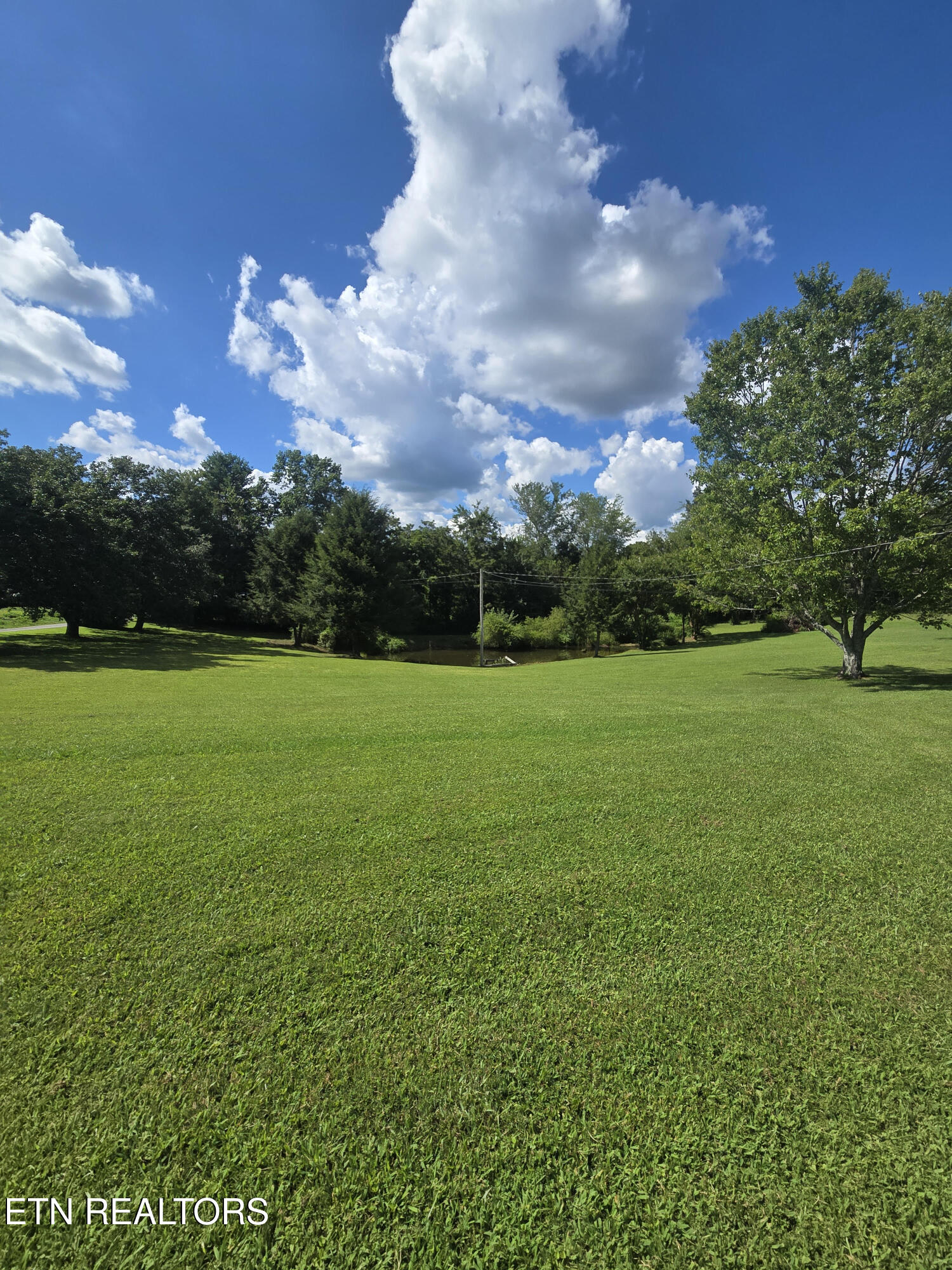 115 Cherry Street Deer Lodge, TN 37726 - Photo 3 of 18 3