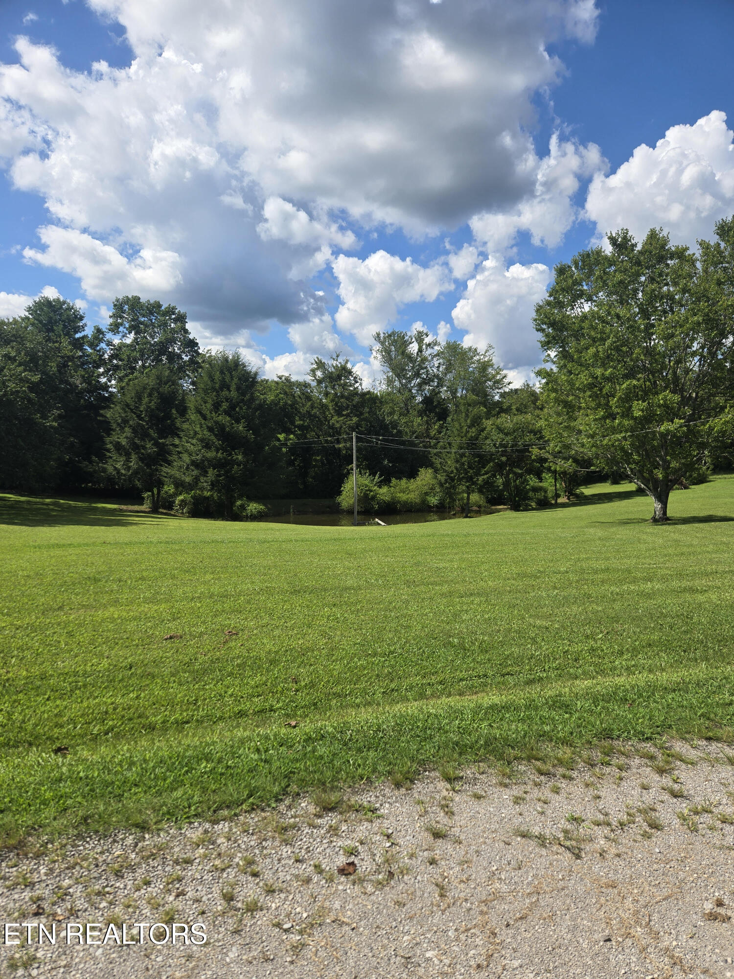 115 Cherry Street Deer Lodge, TN 37726 - Photo 4 of 18 4