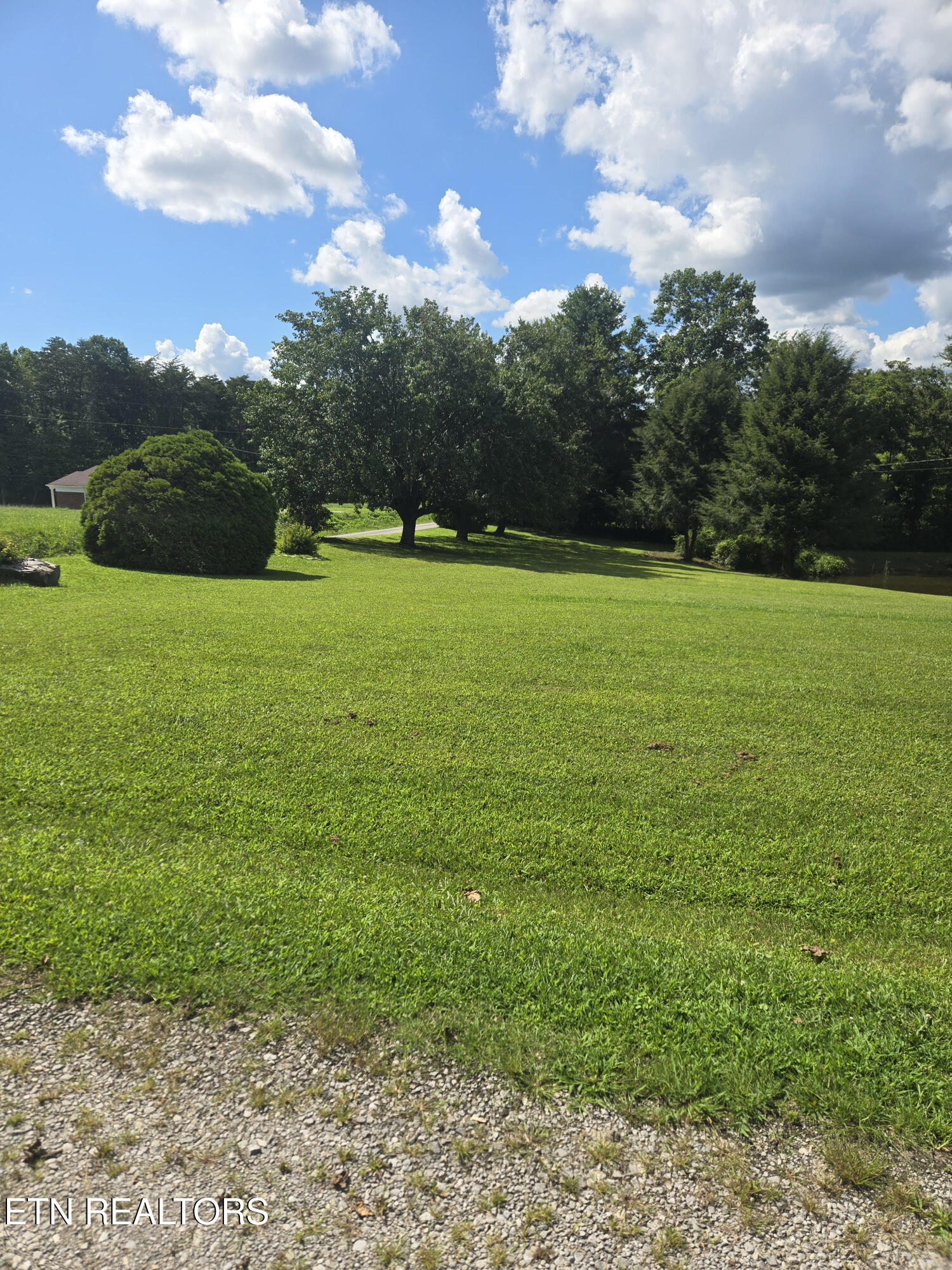 115 Cherry Street Deer Lodge, TN 37726 - Photo 6 of 18 6