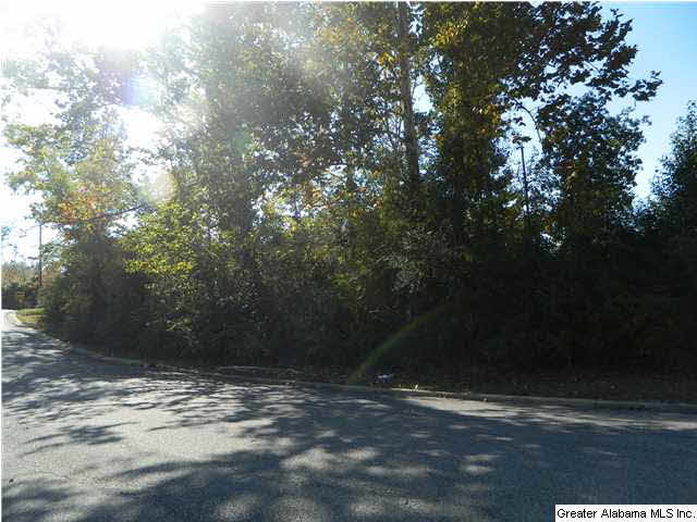 5577 Tyler Loop Road Pinson, AL 35126 - Photo 27 of 29