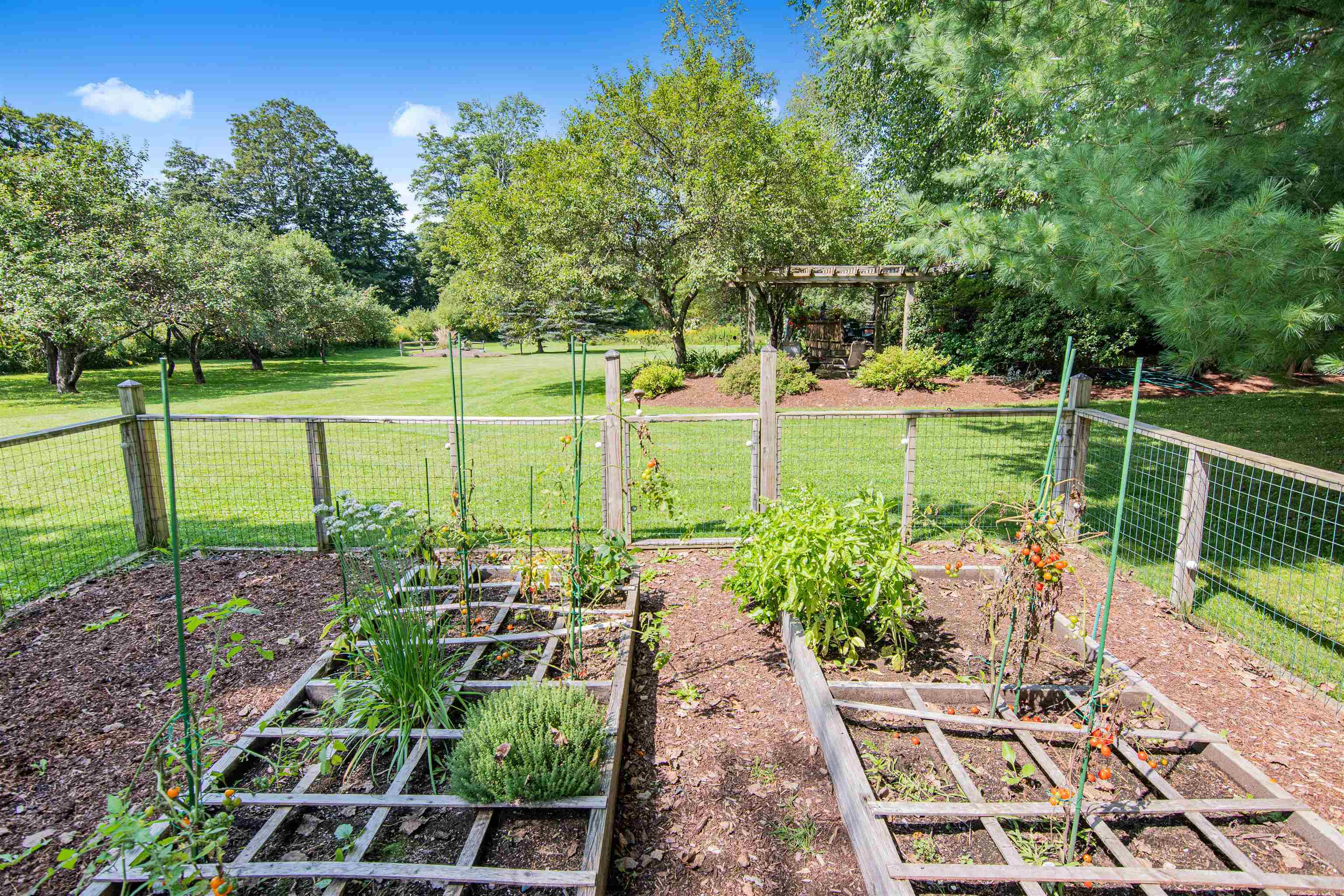 13 Meadow Drive Jericho, VT 05465 - Photo 32 of 40