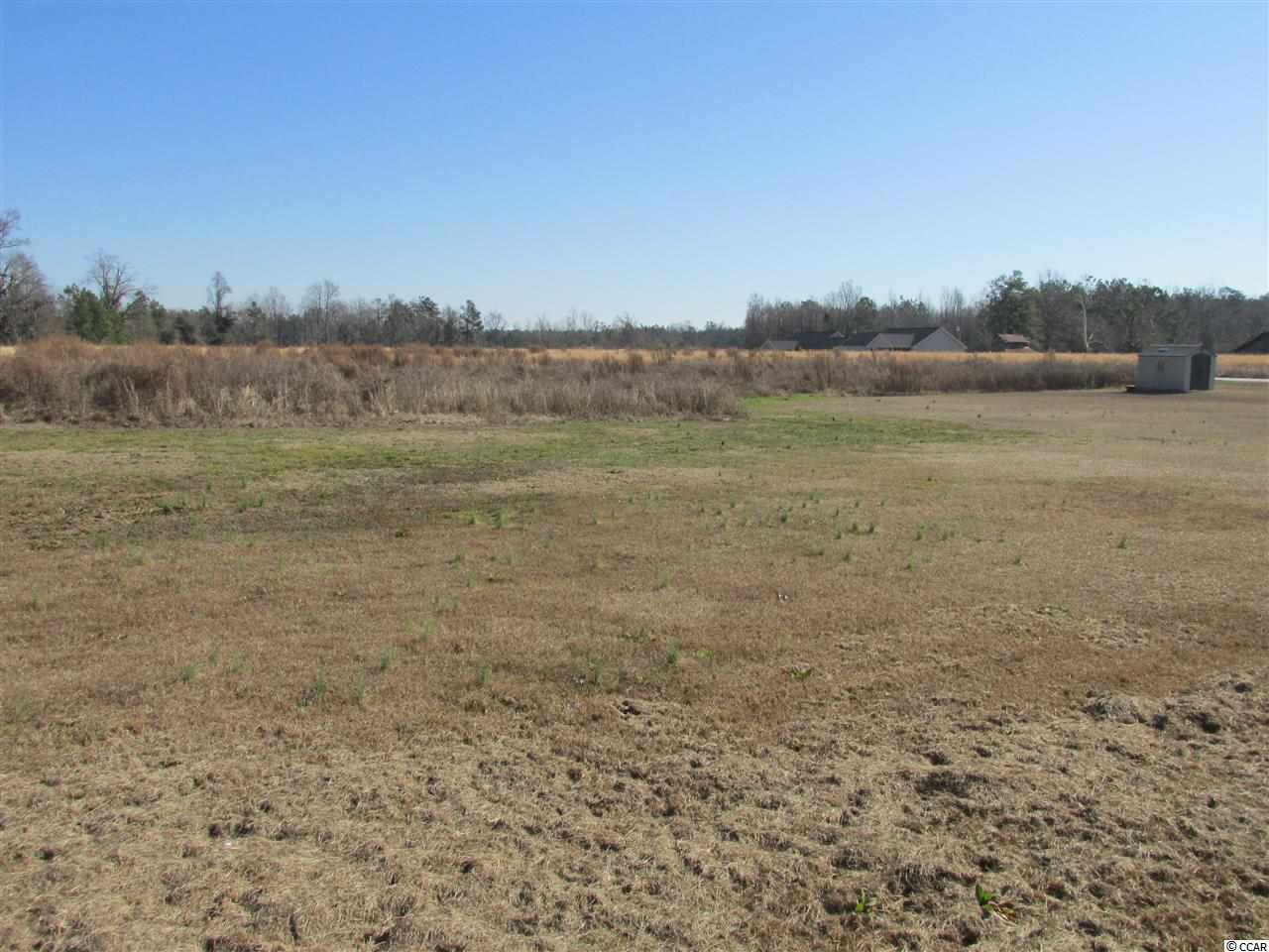 6640 Lundy Short Cut Road Conway, SC 29527 - Photo 18 of 20 Gallery Image 18