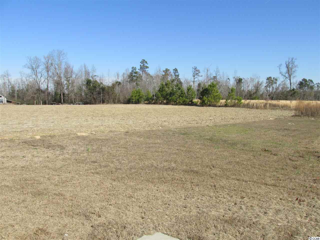 6640 Lundy Short Cut Road Conway, SC 29527 - Photo 19 of 20 Gallery Image 19