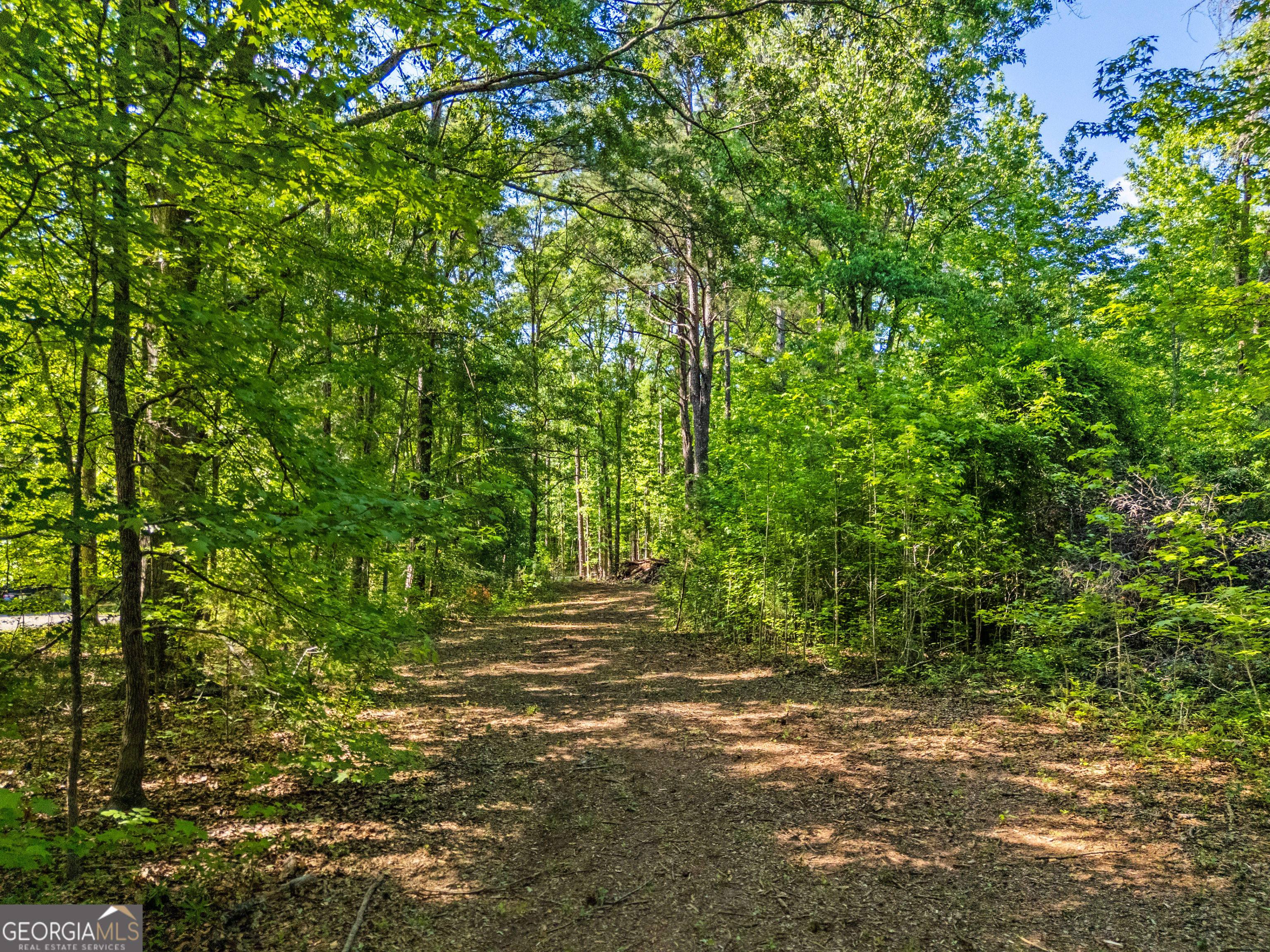 0 Oak Road Jenkinsburg, GA 30234 - Photo 15 of 18 Gallery Image 15